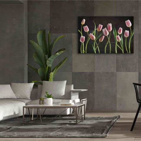 Image of 'Spring Tulips IX' by Debra Van Swearingen, Canvas Wall Art,60 x 40