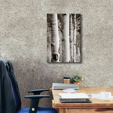 Image of 'Aspens I' by Debra Van Swearingen, Canvas Wall Art,18 x 26