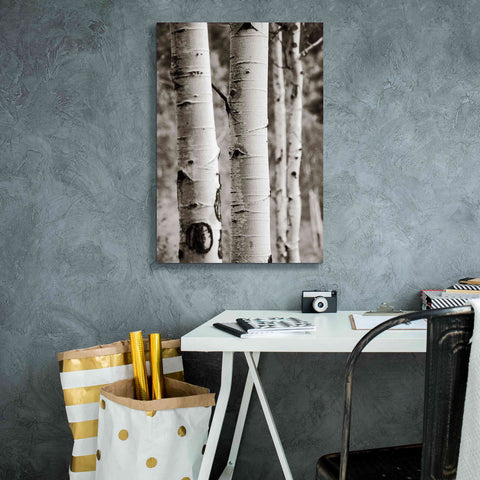 Image of 'Aspens I' by Debra Van Swearingen, Canvas Wall Art,18 x 26