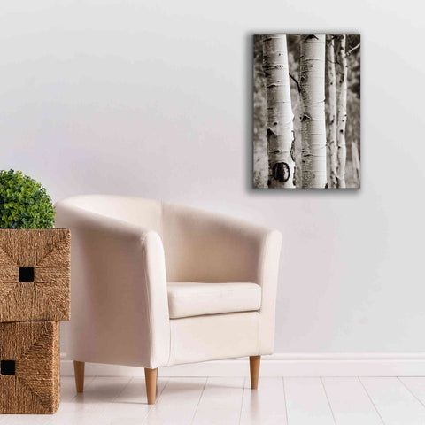 Image of 'Aspens I' by Debra Van Swearingen, Canvas Wall Art,18 x 26