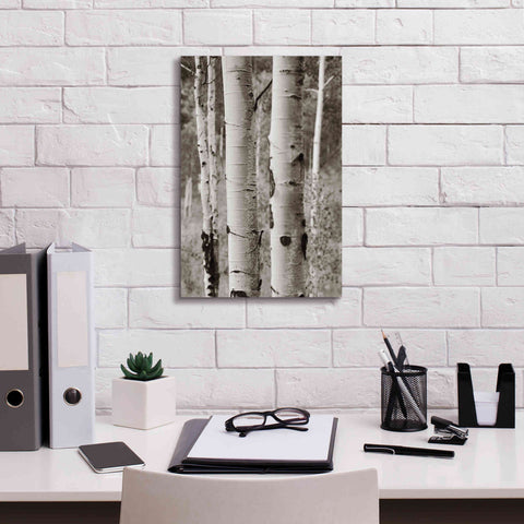 Image of 'Aspens II' by Debra Van Swearingen, Canvas Wall Art,12 x 18