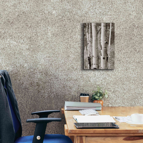 Image of 'Aspens II' by Debra Van Swearingen, Canvas Wall Art,12 x 18