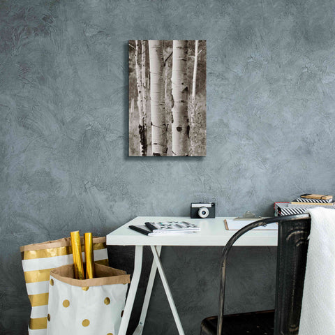 Image of 'Aspens II' by Debra Van Swearingen, Canvas Wall Art,12 x 18