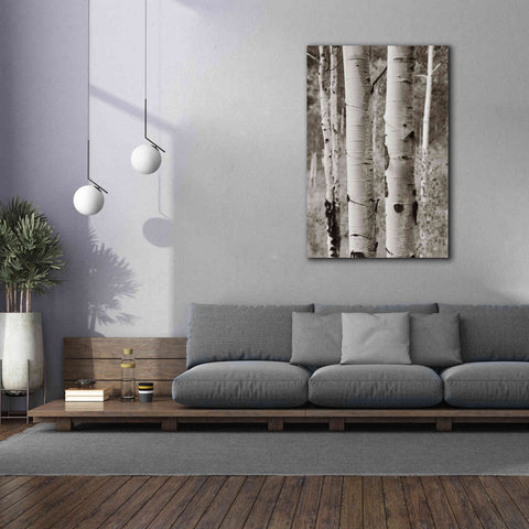 Image of 'Aspens II' by Debra Van Swearingen, Canvas Wall Art,40 x 60