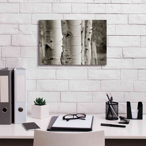 Image of 'Aspens III' by Debra Van Swearingen, Canvas Wall Art,18 x 12