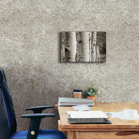 Image of 'Aspens III' by Debra Van Swearingen, Canvas Wall Art,18 x 12