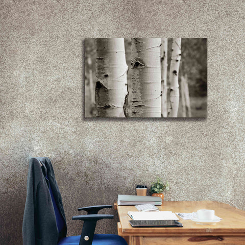 Image of 'Aspens III' by Debra Van Swearingen, Canvas Wall Art,40 x 26