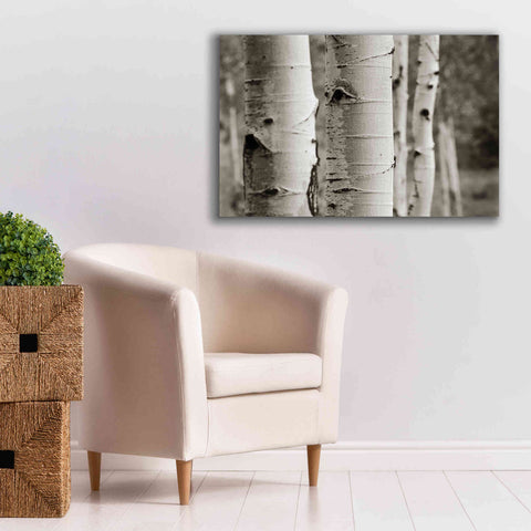 Image of 'Aspens III' by Debra Van Swearingen, Canvas Wall Art,40 x 26
