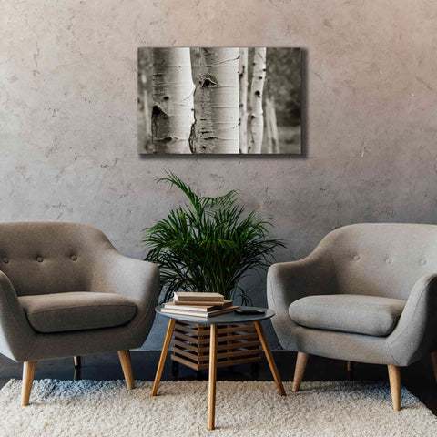 Image of 'Aspens III' by Debra Van Swearingen, Canvas Wall Art,40 x 26