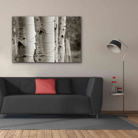 Image of 'Aspens III' by Debra Van Swearingen, Canvas Wall Art,60 x 40