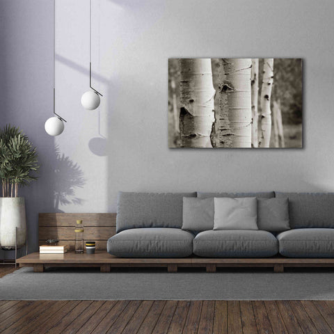 Image of 'Aspens III' by Debra Van Swearingen, Canvas Wall Art,60 x 40