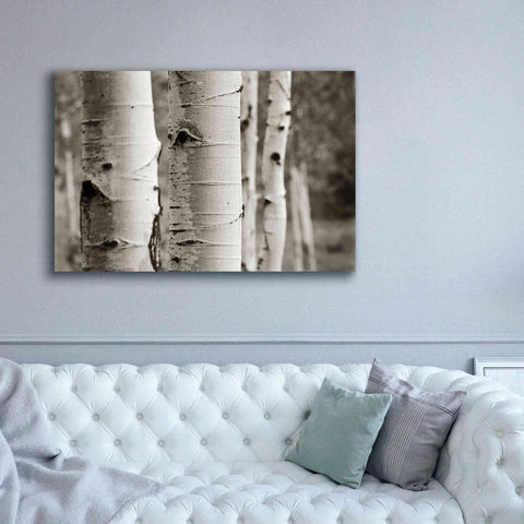 Image of 'Aspens III' by Debra Van Swearingen, Canvas Wall Art,60 x 40