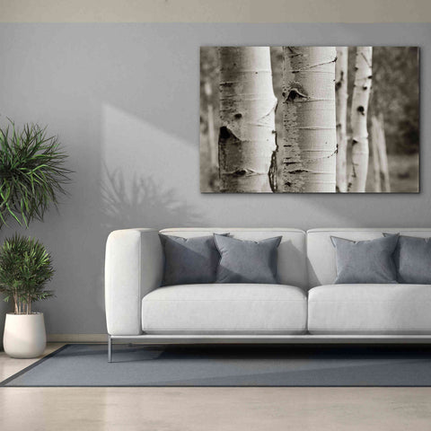 Image of 'Aspens III' by Debra Van Swearingen, Canvas Wall Art,60 x 40