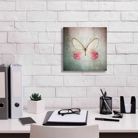 Image of 'French Butterfly I' by Debra Van Swearingen, Canvas Wall Art,12 x 12