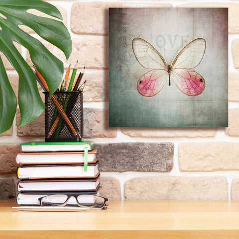 Image of 'French Butterfly I' by Debra Van Swearingen, Canvas Wall Art,12 x 12