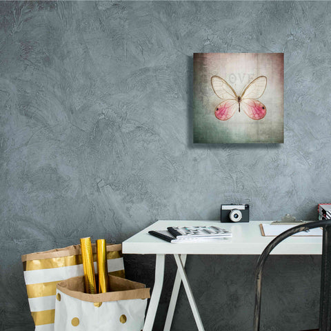 Image of 'French Butterfly I' by Debra Van Swearingen, Canvas Wall Art,12 x 12