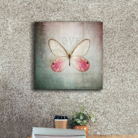 Image of 'French Butterfly I' by Debra Van Swearingen, Canvas Wall Art,18 x 18