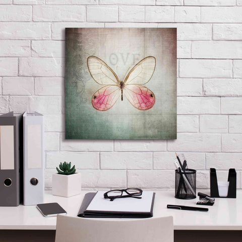 Image of 'French Butterfly I' by Debra Van Swearingen, Canvas Wall Art,18 x 18