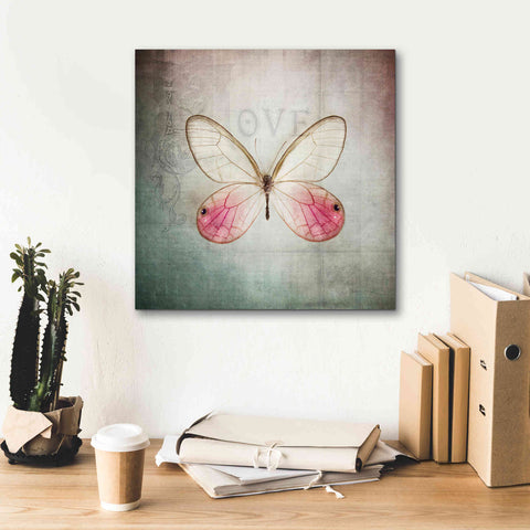 Image of 'French Butterfly I' by Debra Van Swearingen, Canvas Wall Art,18 x 18