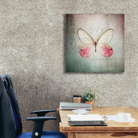 Image of 'French Butterfly I' by Debra Van Swearingen, Canvas Wall Art,26 x 26