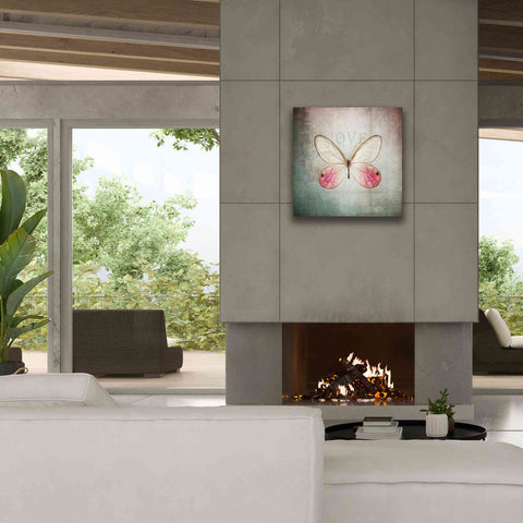 Image of 'French Butterfly I' by Debra Van Swearingen, Canvas Wall Art,26 x 26