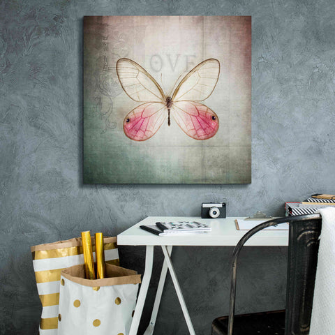 Image of 'French Butterfly I' by Debra Van Swearingen, Canvas Wall Art,26 x 26