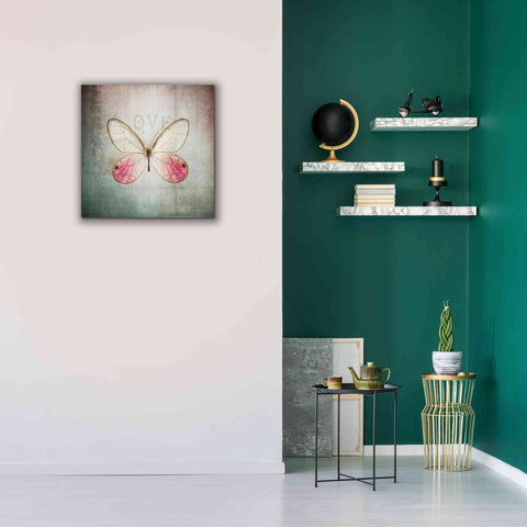 Image of 'French Butterfly I' by Debra Van Swearingen, Canvas Wall Art,26 x 26