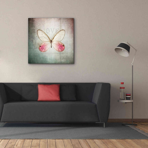 Image of 'French Butterfly I' by Debra Van Swearingen, Canvas Wall Art,37 x 37