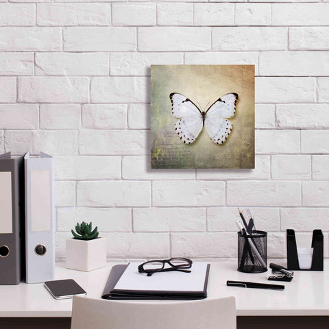 Image of 'French Butterfly II' by Debra Van Swearingen, Canvas Wall Art,12 x 12