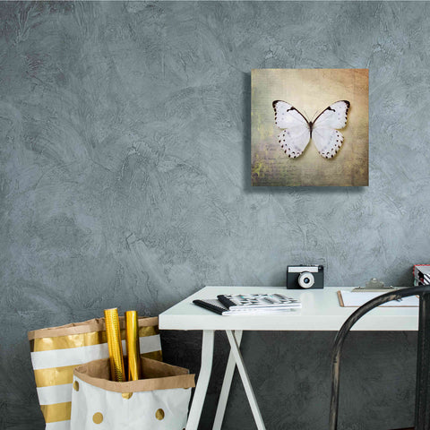 Image of 'French Butterfly II' by Debra Van Swearingen, Canvas Wall Art,12 x 12