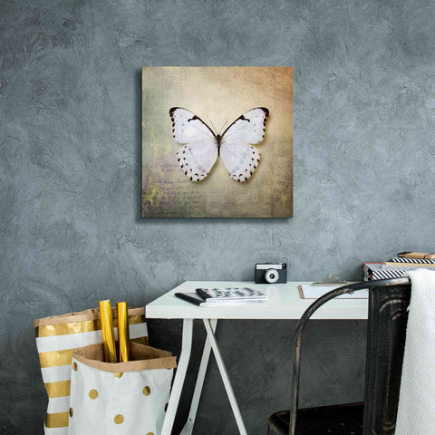 Image of 'French Butterfly II' by Debra Van Swearingen, Canvas Wall Art,18 x 18