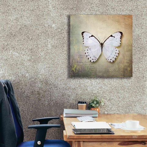 Image of 'French Butterfly II' by Debra Van Swearingen, Canvas Wall Art,26 x 26