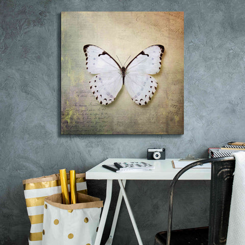 Image of 'French Butterfly II' by Debra Van Swearingen, Canvas Wall Art,26 x 26