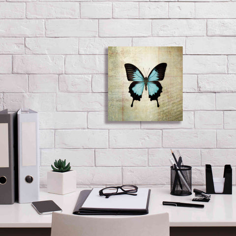Image of 'French Butterfly III' by Debra Van Swearingen, Canvas Wall Art,12 x 12