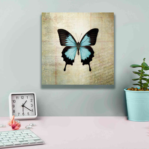 Image of 'French Butterfly III' by Debra Van Swearingen, Canvas Wall Art,12 x 12