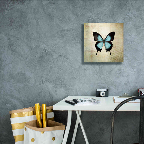 Image of 'French Butterfly III' by Debra Van Swearingen, Canvas Wall Art,12 x 12