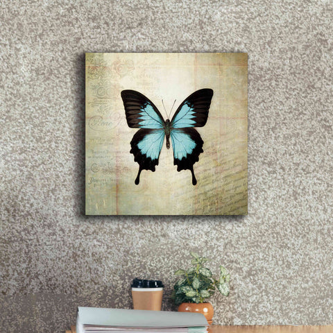 Image of 'French Butterfly III' by Debra Van Swearingen, Canvas Wall Art,18 x 18