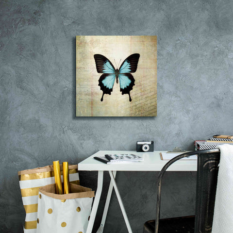Image of 'French Butterfly III' by Debra Van Swearingen, Canvas Wall Art,18 x 18