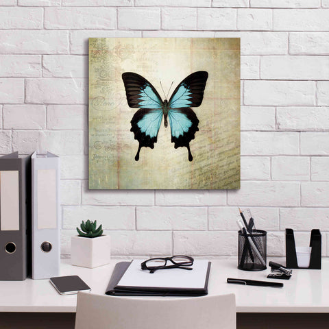 Image of 'French Butterfly III' by Debra Van Swearingen, Canvas Wall Art,18 x 18