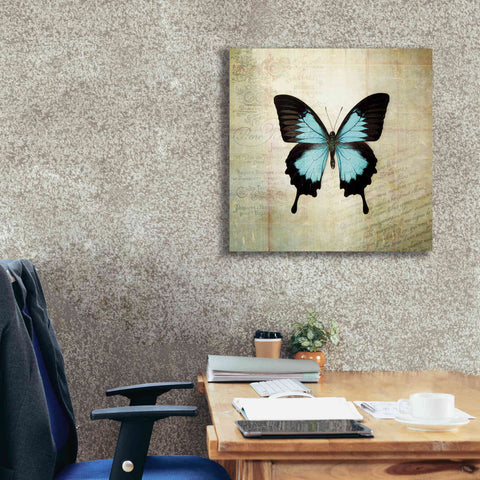 Image of 'French Butterfly III' by Debra Van Swearingen, Canvas Wall Art,26 x 26