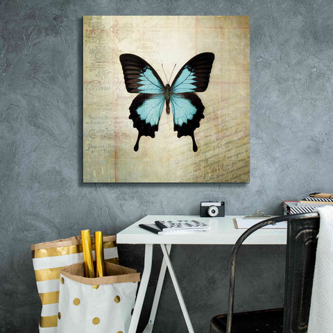 Image of 'French Butterfly III' by Debra Van Swearingen, Canvas Wall Art,26 x 26