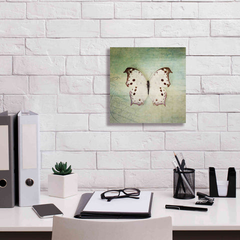 Image of 'French Butterfly IV' by Debra Van Swearingen, Canvas Wall Art,12 x 12