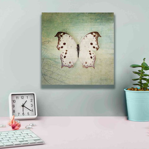 Image of 'French Butterfly IV' by Debra Van Swearingen, Canvas Wall Art,12 x 12