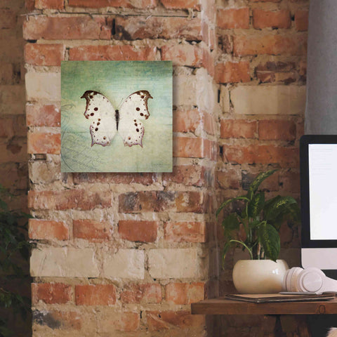 Image of 'French Butterfly IV' by Debra Van Swearingen, Canvas Wall Art,12 x 12