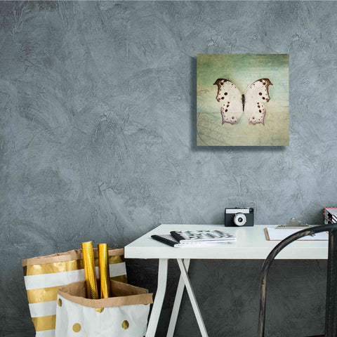 Image of 'French Butterfly IV' by Debra Van Swearingen, Canvas Wall Art,12 x 12