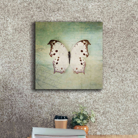 Image of 'French Butterfly IV' by Debra Van Swearingen, Canvas Wall Art,18 x 18