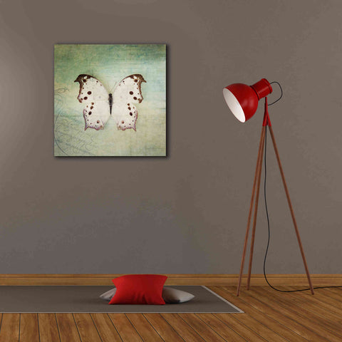 Image of 'French Butterfly IV' by Debra Van Swearingen, Canvas Wall Art,26 x 26