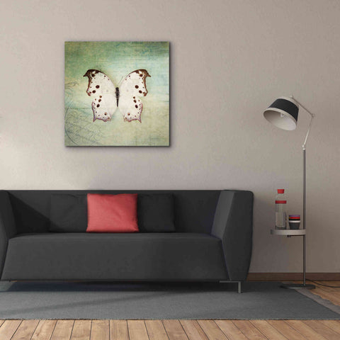 Image of 'French Butterfly IV' by Debra Van Swearingen, Canvas Wall Art,37 x 37