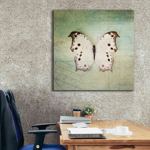 Image of 'French Butterfly IV' by Debra Van Swearingen, Canvas Wall Art,37 x 37