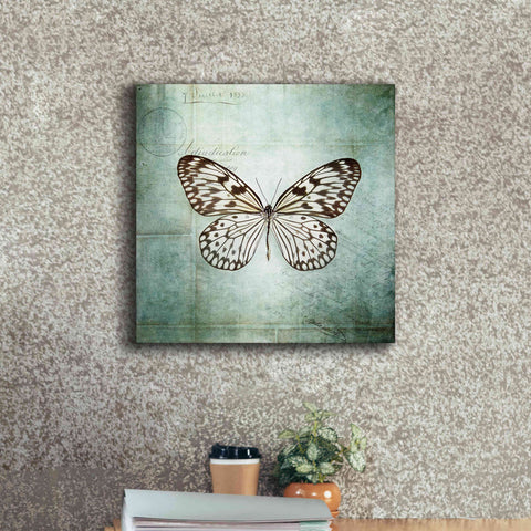 Image of 'French Butterfly V' by Debra Van Swearingen, Canvas Wall Art,18 x 18